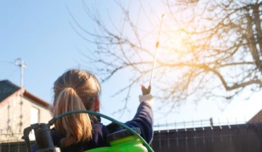 Jarní předjarní postřik – proč, jak a čím?
