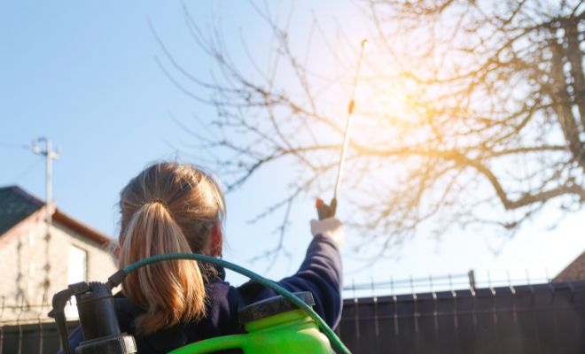 Jarní předjarní postřik – proč, jak a čím?