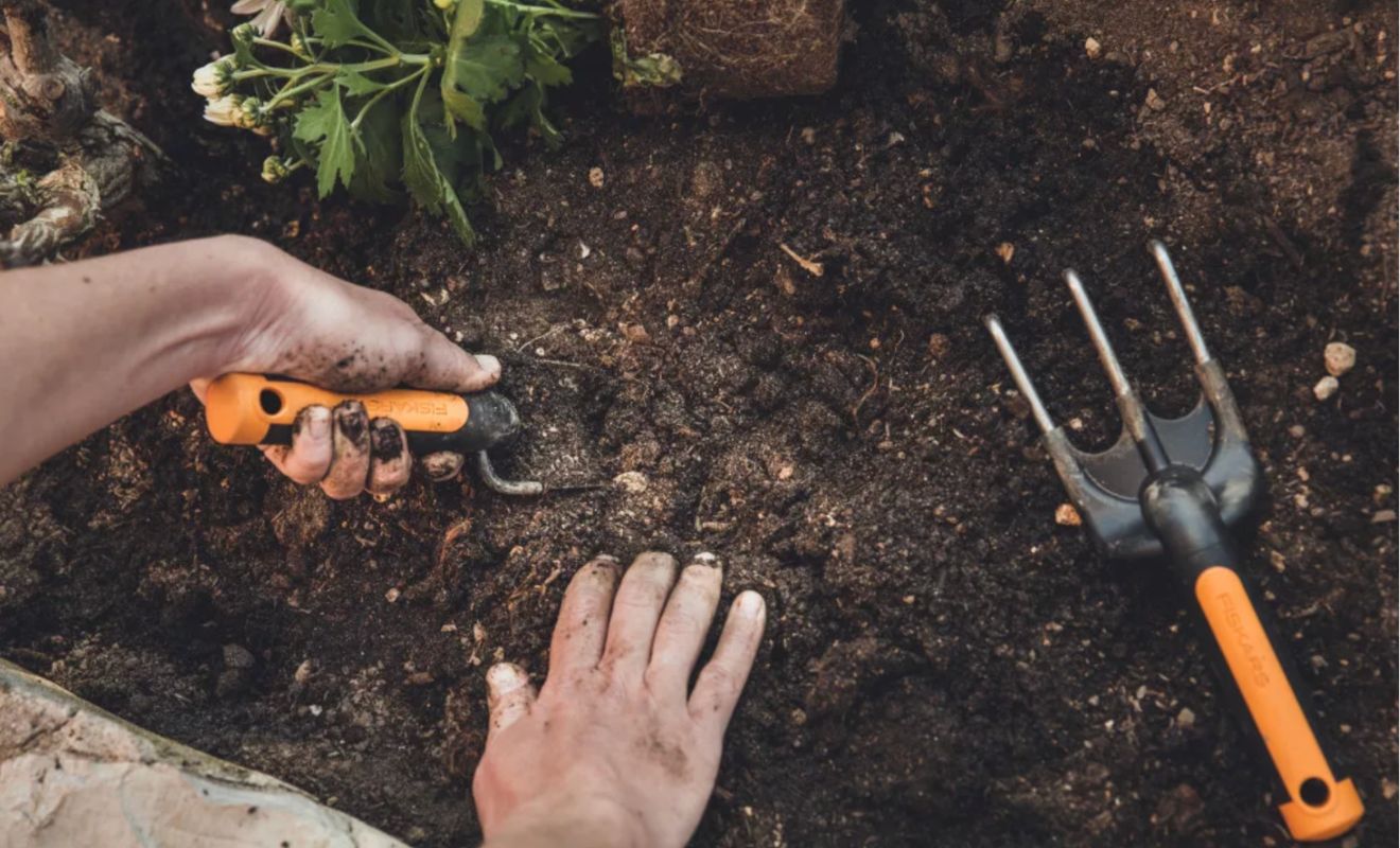 Kdy je nejlepší čas na kypření?